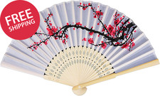 Delicate Cherry Blossom Design