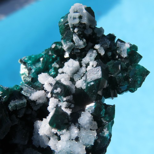 Stunning green dioptase - stunning,
