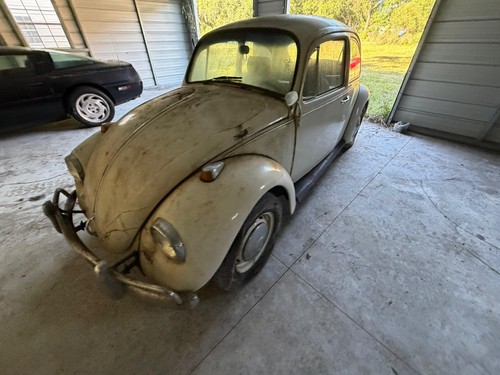 1967 volkswagen beetle - 1967,