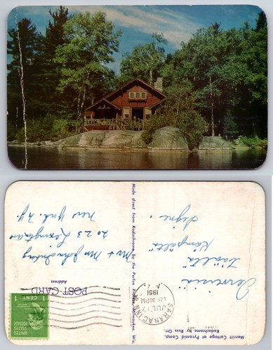 Lakeside cabin forest view - lakeside,