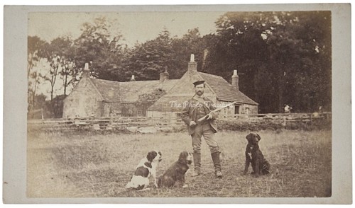 Cdv superb hunter - cdv,