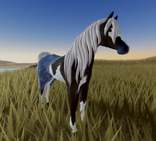Wild horse islands siuc - horse,