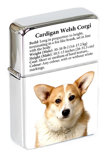 Cardigan welsh corgi flip top - cardigan,