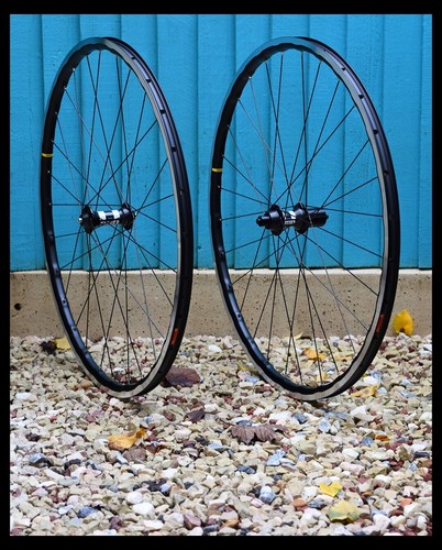 Handbuilt new swiss 350 - swiss,