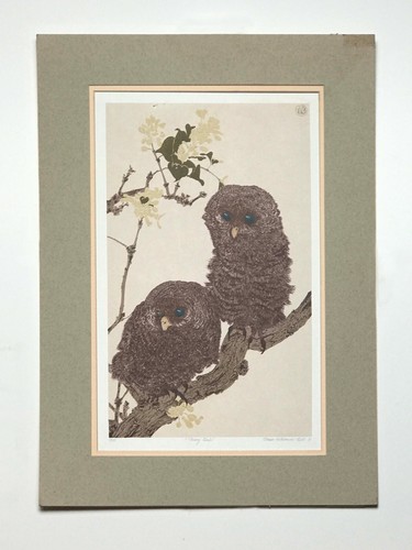 Tawny owls silk screen print - owls,,
