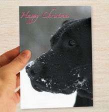 10 x Christmas Cards Pack