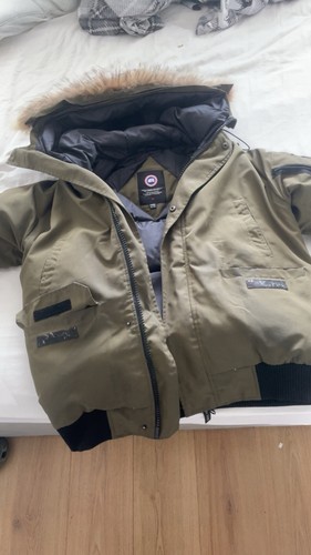 Canada goose chilliwack - canada, bomber