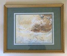 Framed Watercolour Featuring A Woodcock By N.Farry 1988 H33 W41 cm
