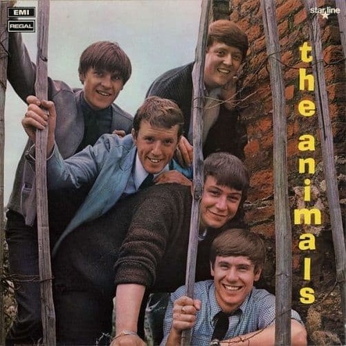 The animals - the,