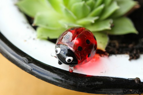 Glass ladybird red quality - glass,