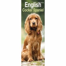 Otter House English Cocker