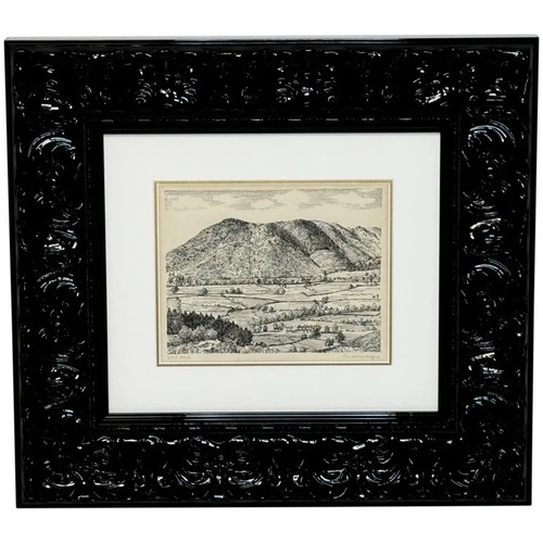 Pen ink drawing low fell - pen,