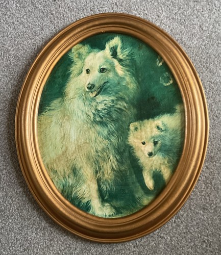 Vintage pomeranian dog and - vintage,