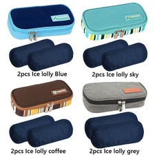 Medication Cooler Bag with 2 Ice Packs Medicine Carrying Case Diabetic Supplies