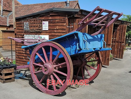 Photo horse drawn wagon - horse,