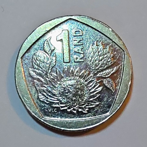 South african rand protea - 1,