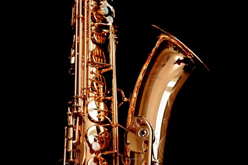 Brand new 2026 - new, yanagisawa