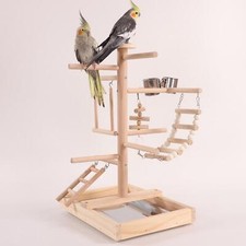 Solid Wood Parrot Stand