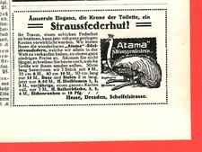 Histor. Advertising: Atama Ostrich Feathers (1915/16) - [BS-374]