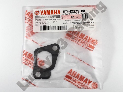 Cam chain tensioner cover