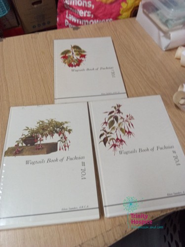 Wagtails book fuchsias vol - book,