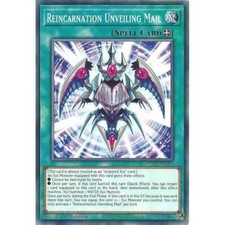 ROTA-EN049 Reincarnation