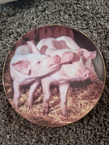Hamilton collection plate - collection,