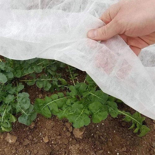 Plant frost protection fleece - plant,