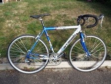 Barracuda Azzuri 14 Speed Road