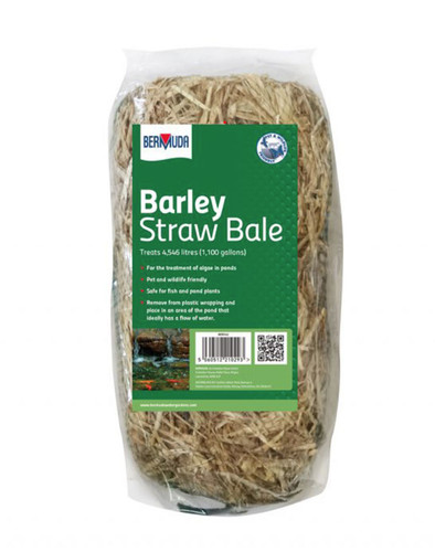 Bermuda barley straw bale - barley,