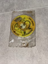 Pokémon Pikachu / Raichu