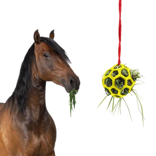 Bear pet hay feeder - bear,