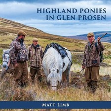 Highland Ponies in Glen Prosen