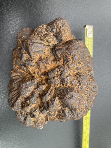 Iron pyrite nodule from - from, seven