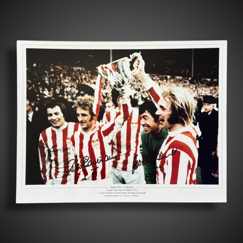 Stoke city cup win signed - stoke,