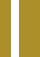 TWIN 4mm/2mm Flat GOLD