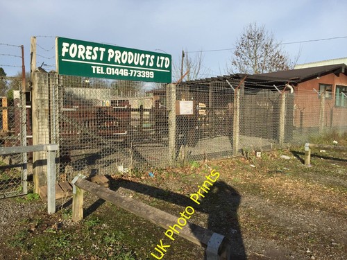 Photo 8x6 forest products ltd - forest,