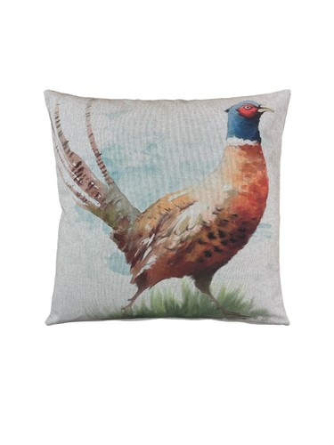 Large pheasant small - pheasant,
