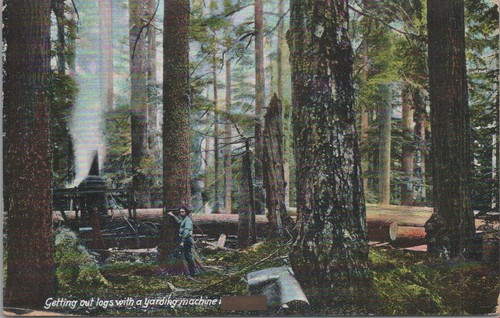 Postcard nature logging - postcard,
