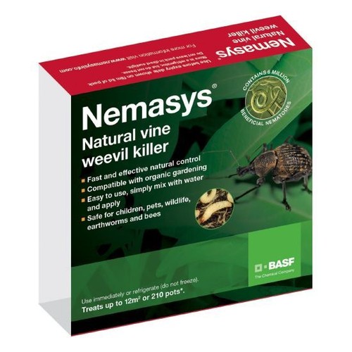 Nemasys nematodes vine weevil - nemasys,