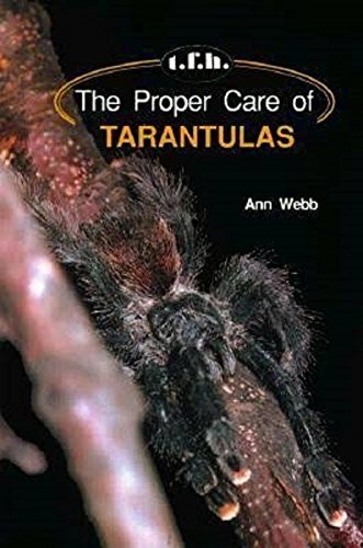 The proper care - the, tarantulas