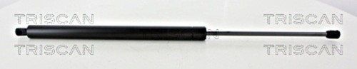 Rear windscreen gas spring - rear,