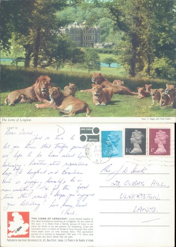 The lions longleat - lions, of