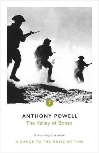 The valley bones anthony - the, by