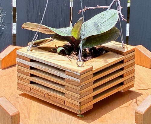 Reclaimed cypress wood - reclaimed, orchid