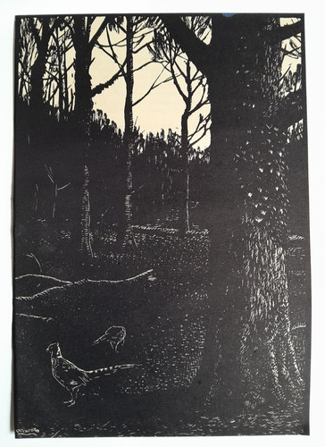 Pitchford pheasant wood print - pheasant,