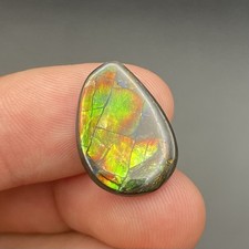 BEAUTIFUL FLASHY CANADIAN