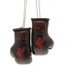 Liverpool FC Mini Boxing