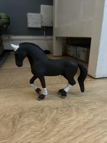 Schliech dressage stallion - schliech,