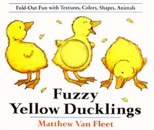 Fuzzy Yellow Ducklings Picture